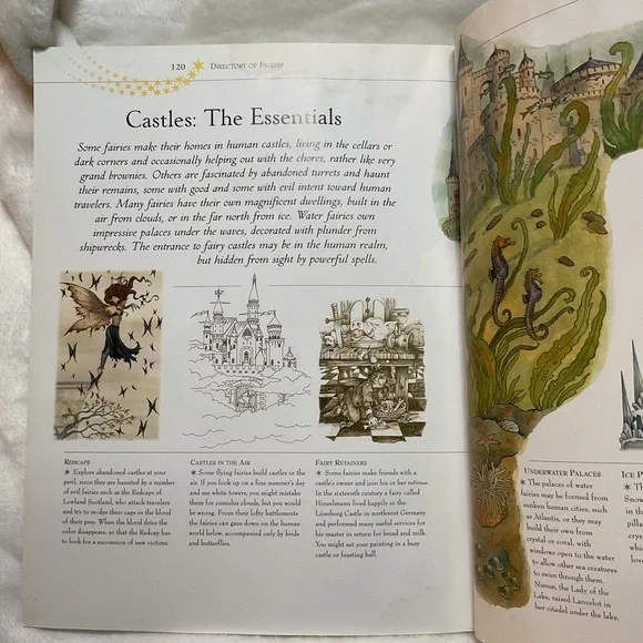 Watercolor Fairies Art Book by David Riche & Anna Franklin - 2004 Fantasy Paint - Picture 9 of 10